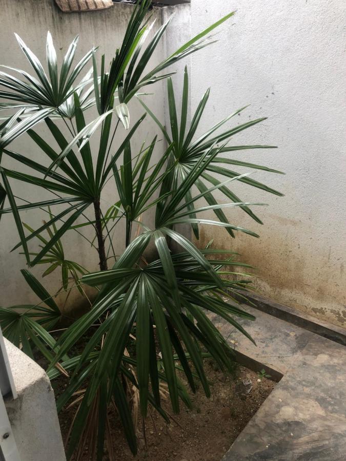 Hiriketiya New Radiant House Otel Dikwella Dış mekan fotoğraf